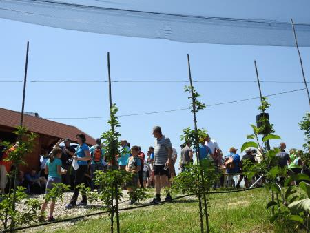 12. pohod Pomlad v prleških goricah Dan odprtih kleti in veselih ljudi, 28.5.2016 57